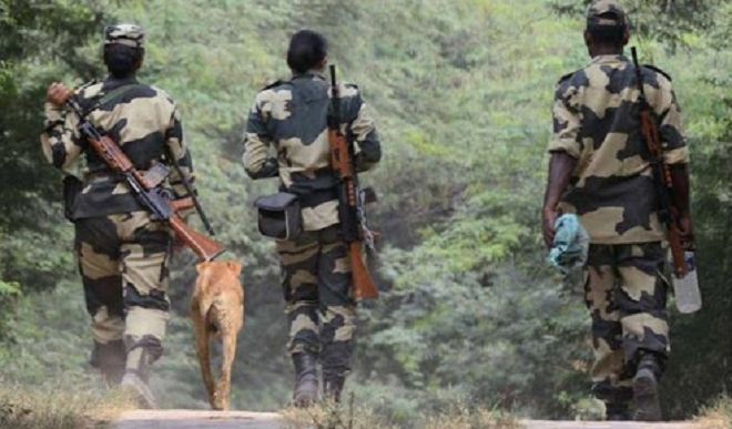 BSF ने बांग्लादेश के 13 नागरिकों को किया गिरफ्तार, भारत में घुसने की कर रहे थे कोशिश