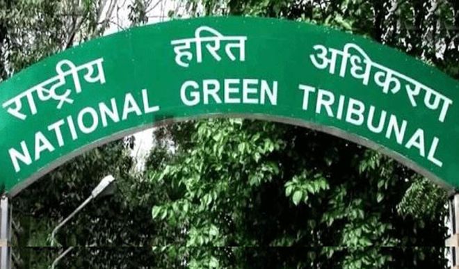 NGT ने 9 से 30 नवंबर तक पटाखों की बिक्री और इस्तेमाल पर लगाया पूर्ण प्रतिबंध
