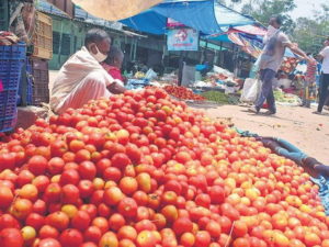 गरीब की थाली से टमाटर हुआ गायब