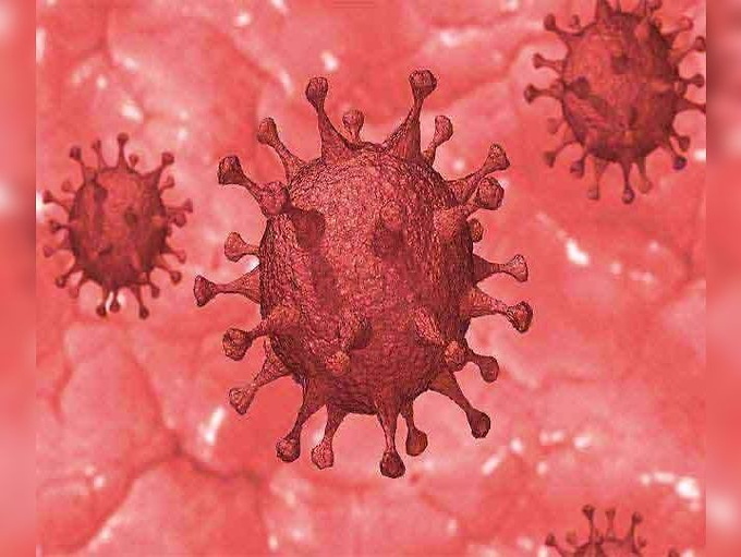 भागलपुर में 19 नए काेराेना मरीज, 12 स्वस्थ हुए, सैंपल में गड़बड़ी, 247 हुए रिजेक्ट