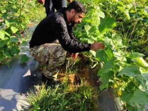 दुबई में हुई एजेंसी और धोनी के बीच डील, मार्केटिंग बोर्ड करेगा धोनी की मदद