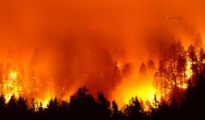 झारखंड के चाईबासा में नक्सलियों ने किया आईईडी विस्फोट, तीन सुरक्षाकर्मी शहीद