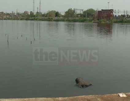 द न्यूज़20210527_160903