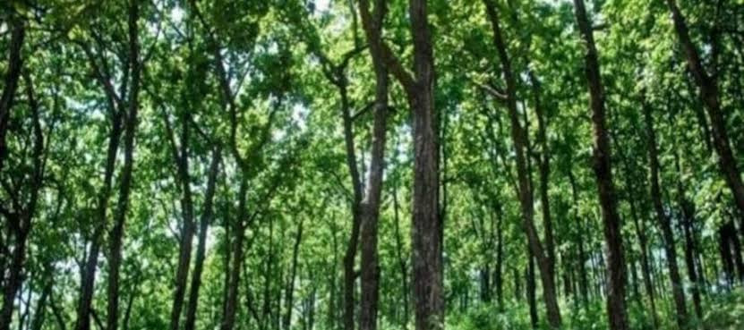 images (17)