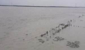 प्रशासन ने गंगा का जलस्तर बढ़ने हस्तिनापुर में जारी किया अलर्ट, मेरठ के गांवों में बाढ़ का मंडराया खतरा