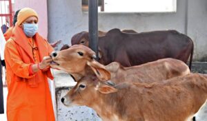 जनसंख्या नियंत्रण और गायों की सुरक्षा के लिए सख्त कानून बनाए जाए : भाजपा विधायक