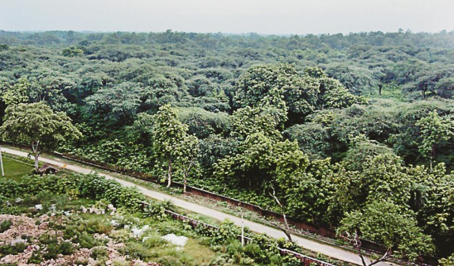 योगी सरकार का बड़ा कदम ! जैविक खेती कर गंगा को शुद्ध करेंगे गंगातट पर बसे किसान