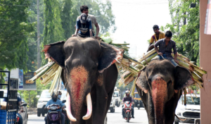 कर्नाटक सरकार ने दी लॉकडाउन में छूट, खोले जाएंगे  मनोरंजन पार्क, धार्मिक गतिविधियों की इजाजत भी मिली