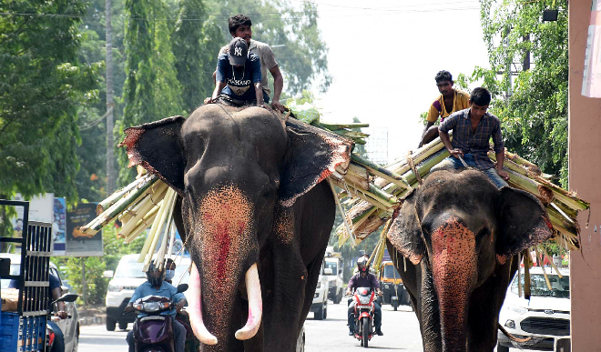 कर्नाटक सरकार ने दी लॉकडाउन में छूट, खोले जाएंगे  मनोरंजन पार्क, धार्मिक गतिविधियों की इजाजत भी मिली