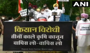 ट्रैक्टर पर संसद पहुंचे राहुल गांधी, कहा- काले कानूनों को वापस लेने पड़ेंगे
