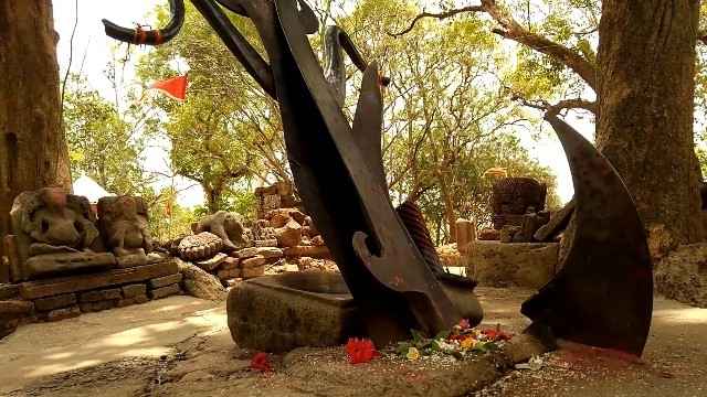 द न्यूज़20210814_204233