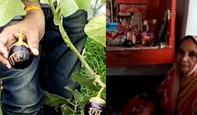 अयोध्या से 25 किलोमीटर दूरी पर हुई ऐसी वारदात, बैगन की पूजा करने लगे ग्रामीण