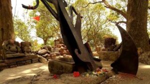 द न्यूज़20210814_204233