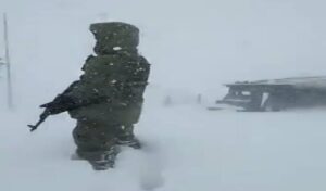 images - 2022-01-09T145124.292