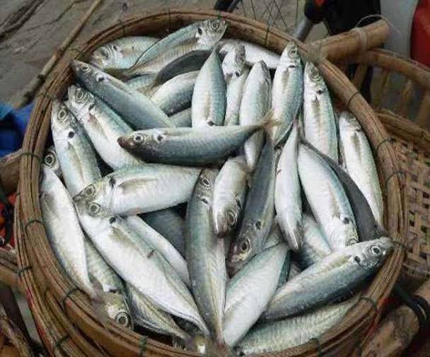 द न्यूज़ (15)