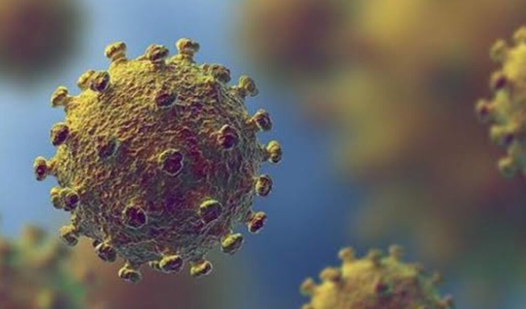 भारत में खतरनाक साबित क्यों नहीं हुआ ओमिक्रॉन वैरियंट, अध्ययन में पता चला
