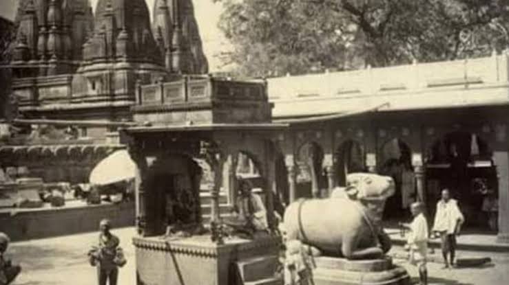 द न्यूज़ (4)