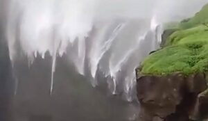 images - 2022-07-13T102431.356