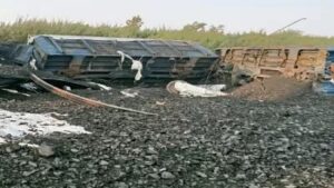 IMG-20221026-WA0001
