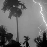 images - 2024-05-17T211242.165