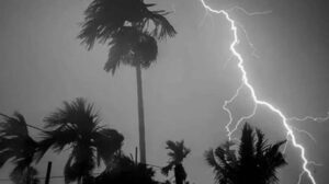 images - 2024-05-17T211242.165