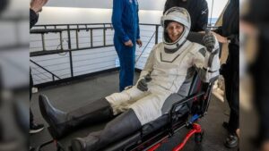 images - 2025-03-19T113235.431