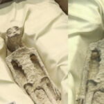 1200knfkdnhfkhdkjf-1695105342